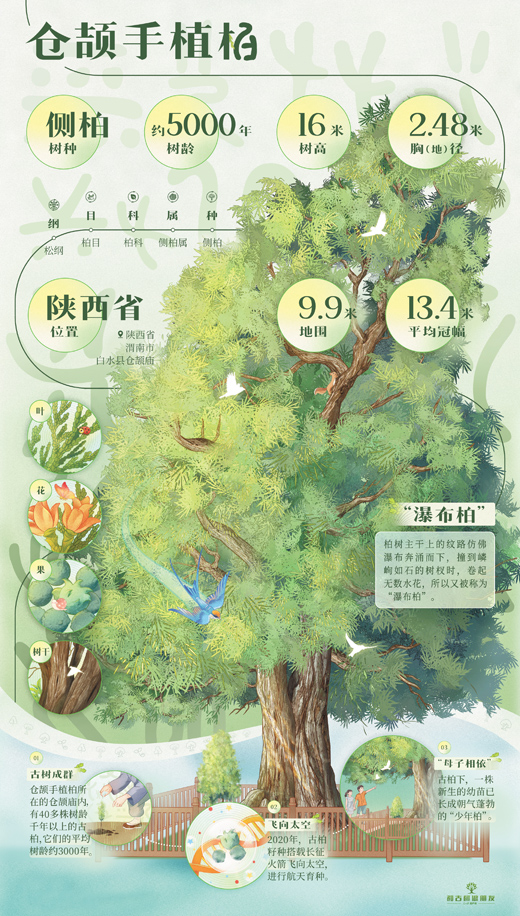 踏入位于陕西省渭.jpg
